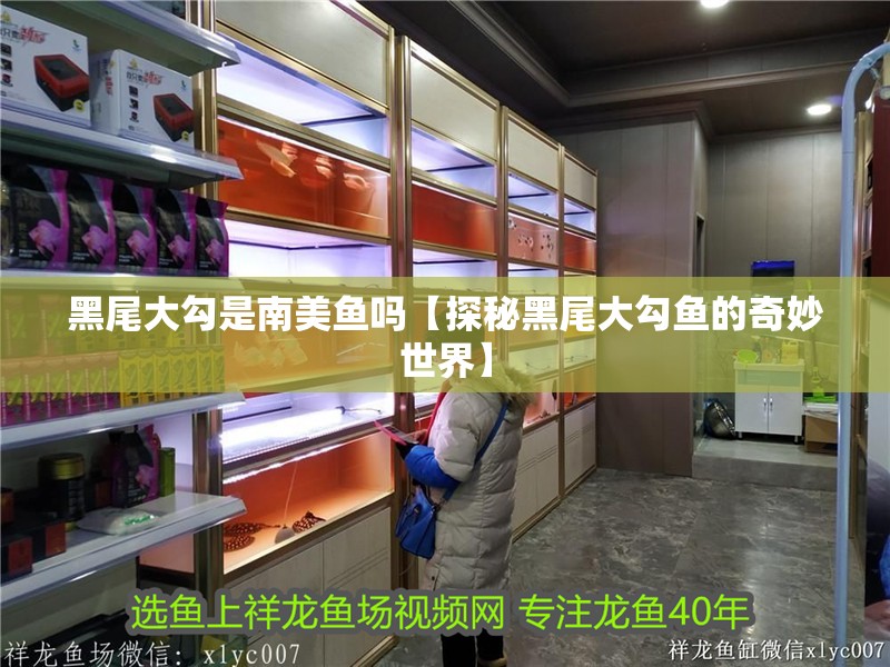 黑尾大勾是南美魚嗎【探秘黑尾大勾魚的奇妙世界】