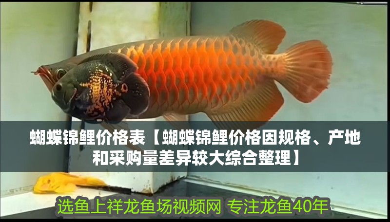 蝴蝶錦鯉價格表【蝴蝶錦鯉價格因規格、產地和采購量差異較大綜合整理】