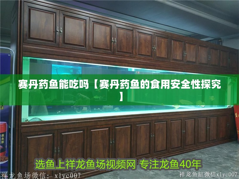 賽丹藥魚能吃嗎【賽丹藥魚的食用安全性探究】