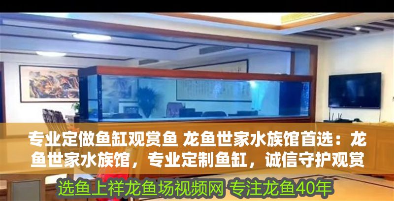 專業定做魚缸觀賞魚 龍魚世家水族館首選：龍魚世家水族館，專業定制魚缸，誠信守護觀賞魚之美