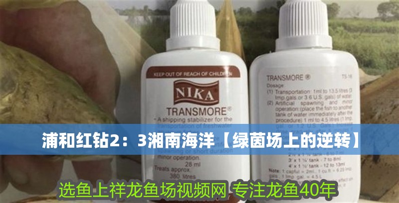 浦和紅鉆2：3湘<strong><mark>南海</mark></strong>洋【綠茵場上的逆轉】