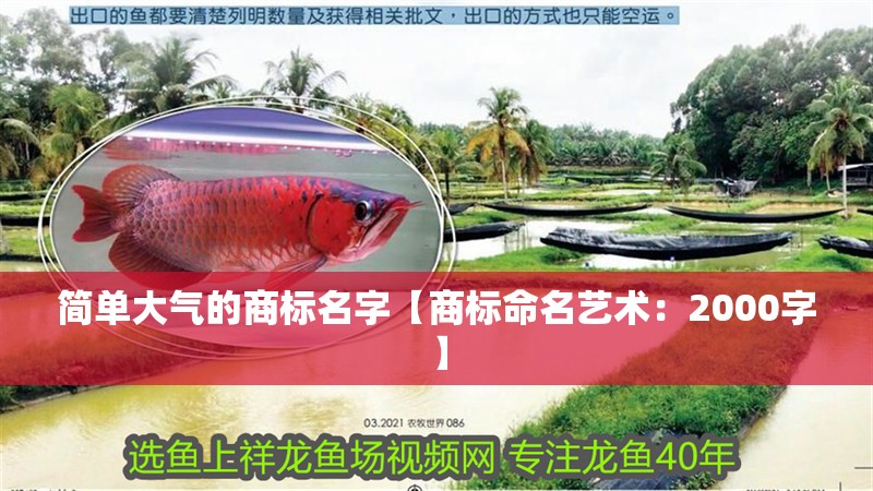 簡單大氣的商標名字【商標命名藝術：2000字】