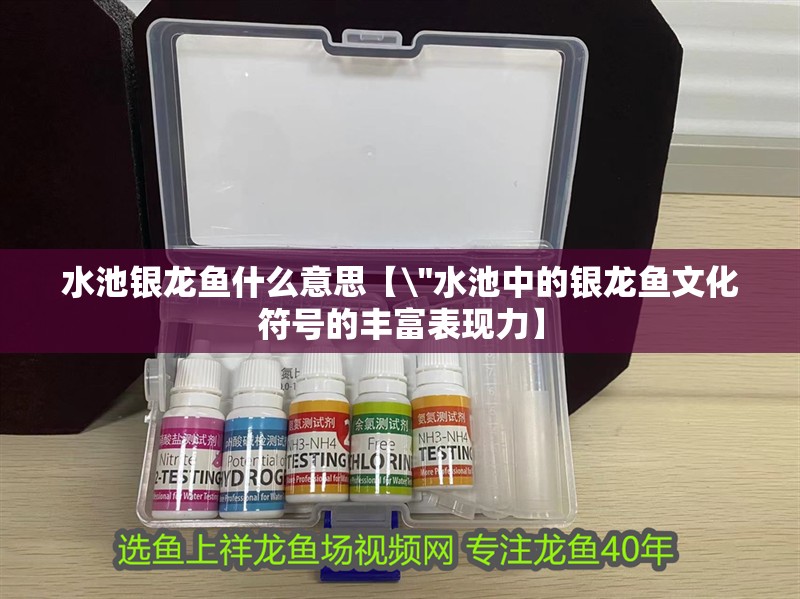 水池銀龍魚什么意思【\