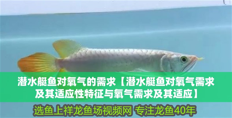 潛水艇魚對氧氣的需求【潛水艇魚對氧氣需求及其適應性特征與氧氣需求及其適應】