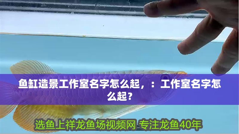魚(yú)缸造景工作室名字怎么起，：工作室名字怎么起？