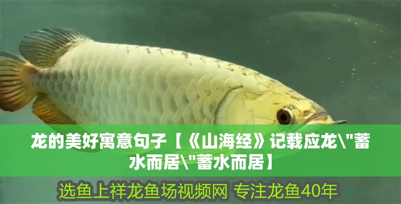 龍的美好寓意句子【《山海經(jīng)》記載應(yīng)龍\