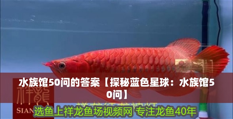 水族館50問的答案【探秘藍(lán)色星球：水族館50問】