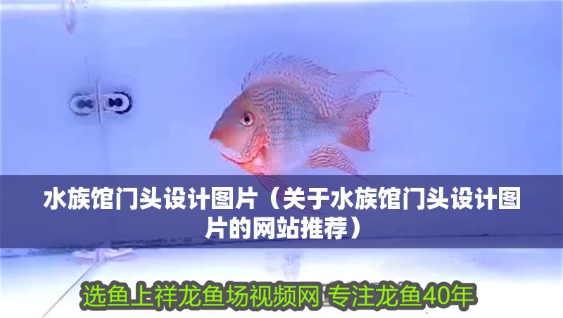 水族館門頭設計圖片（關于水族館門頭設計圖片的網站推薦）