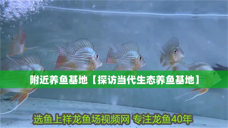 附近養魚基地【探訪當代生態養魚基地】