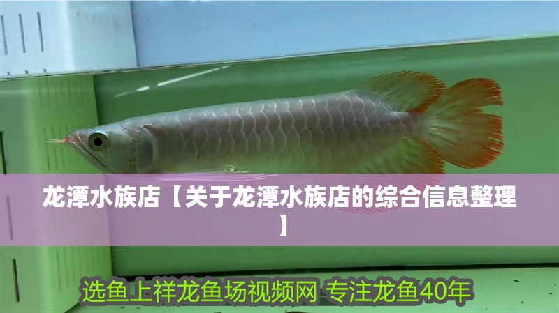龍潭水族店【關于龍潭水族店的綜合信息整理】