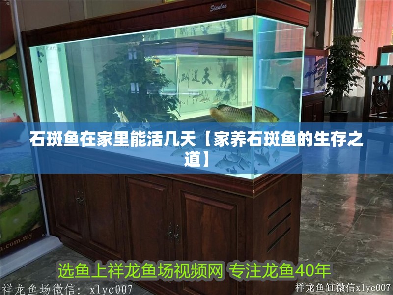 石斑魚在家里能活幾天【家養(yǎng)石斑魚的生存之道】