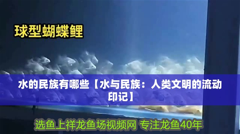 水的民族有哪些【水與民族：人類文明的流動印記】 水的民族有哪些【水與民族：人類文明的流動印記】 龍魚論壇
