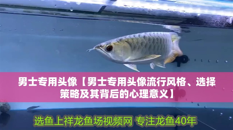 魚(yú)缸過(guò)濾器選購(gòu)指南:自制魚(yú)缸過(guò)濾器魚(yú)缸上置過(guò)濾器對(duì)于養(yǎng)魚(yú)愛(ài)好者的必備知識(shí) 男士專(zhuān)用頭像【男士專(zhuān)用頭像流行風(fēng)格、選擇策略及其背后的心理意義】 龍魚(yú)論壇 男士專(zhuān)用頭像【男士專(zhuān)用頭像流行風(fēng)格、選擇策略及其背后的心理意義】 男士專(zhuān)用頭像【男士專(zhuān)用頭像流行風(fēng)格、選擇策略及其背后的心理意義】 龍魚(yú)論壇