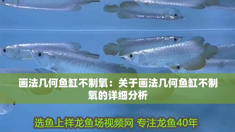畫法幾何魚缸不制氧：關于畫法幾何魚缸不制氧的詳細分析