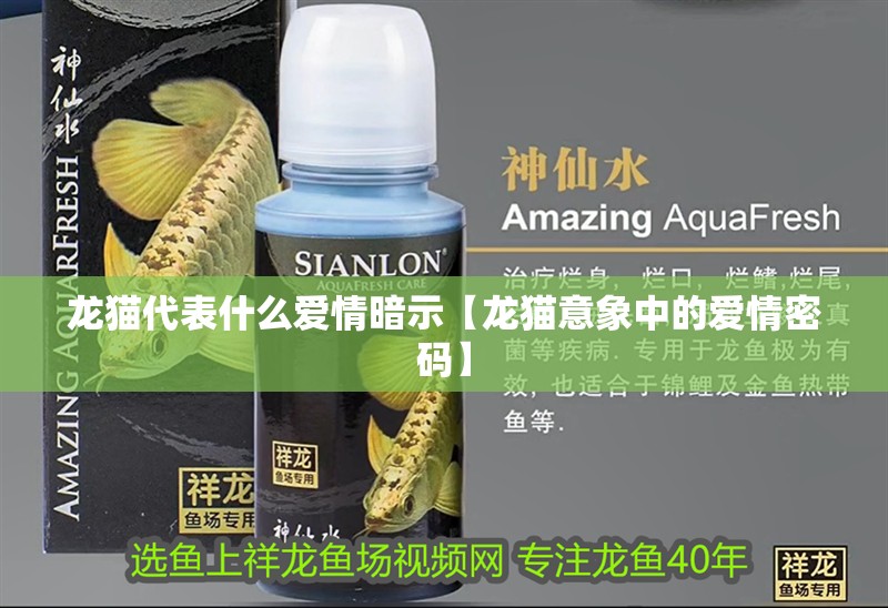 龍貓代表什么愛情暗示【龍貓意象中的愛情密碼】