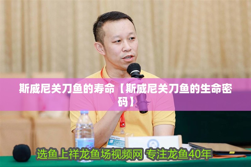 斯威尼關刀魚的壽命【斯威尼關刀魚的生命密碼】