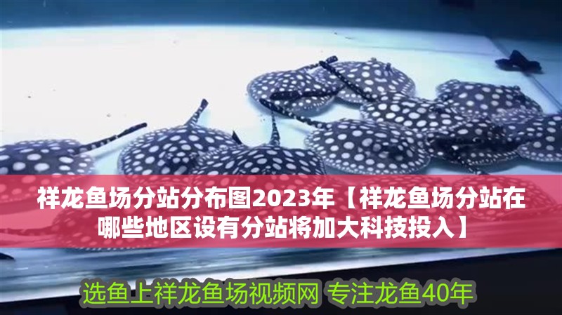 祥龍魚場分站分布圖2023年【祥龍魚場分站在哪些地區設有分站將加大科技投入】