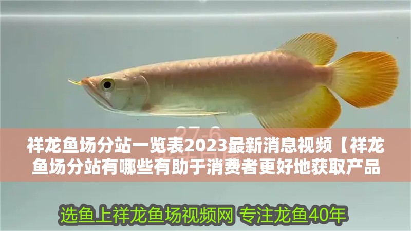 祥龍魚場分站一覽表2023最新消息視頻【祥龍魚場分站有哪些有助于消費(fèi)者更好地獲取產(chǎn)品與服務(wù)】 祥龍魚場分站一覽表2023最新消息視頻【祥龍魚場分站有哪些有助于消費(fèi)者更好地獲取產(chǎn)品與服務(wù)】 水族問答