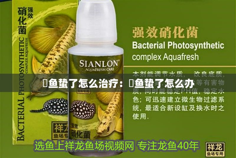 魟魚蟄了怎么治療：魟魚蟄了怎么辦 魟魚蟄了怎么治療：魟魚蟄了怎么辦 魟魚百科 第2張