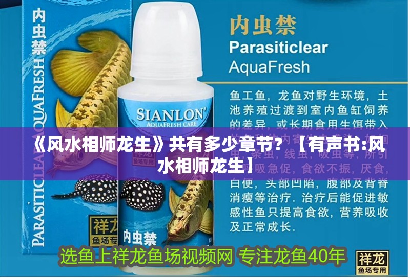 《風(fēng)水相師龍生》共有多少章節(jié)？【有聲書:風(fēng)水相師龍生】