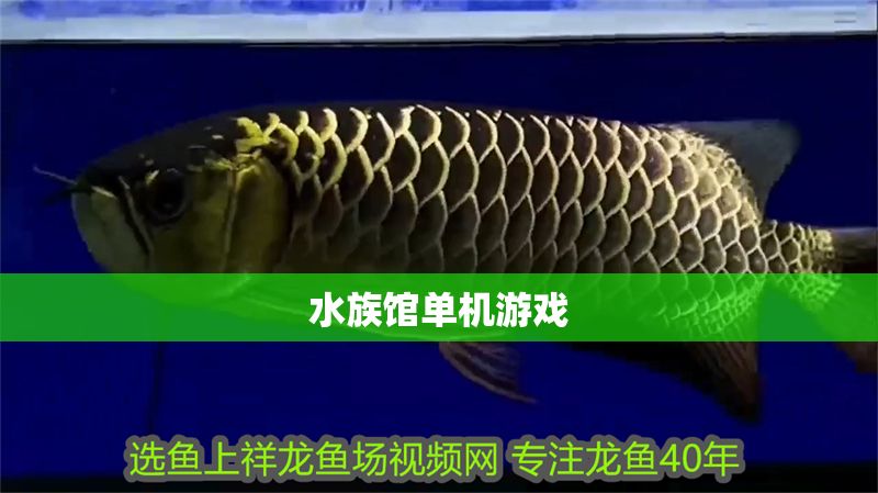 水族館單機游戲