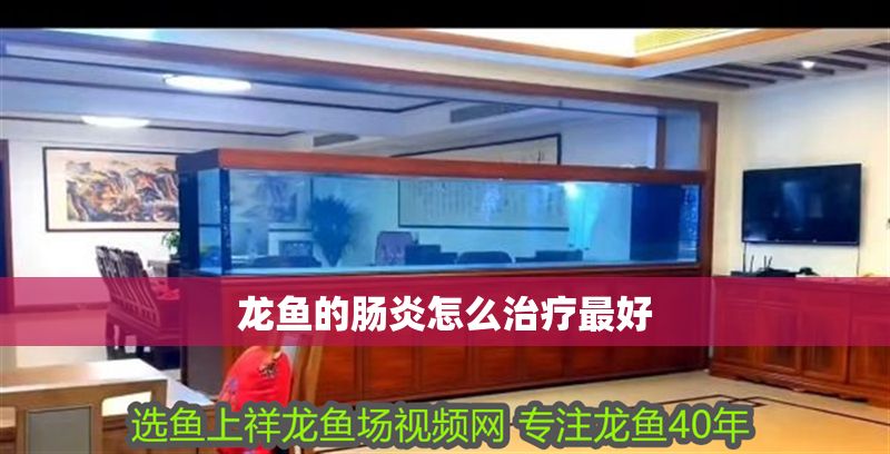 龍魚的腸炎怎么治療最好