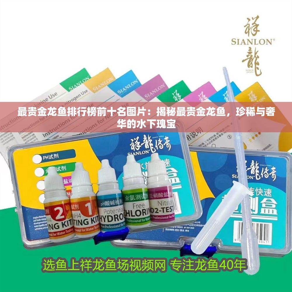 最貴金龍魚排行榜前十名圖片：揭秘最貴金龍魚，珍稀與奢華的水下瑰寶