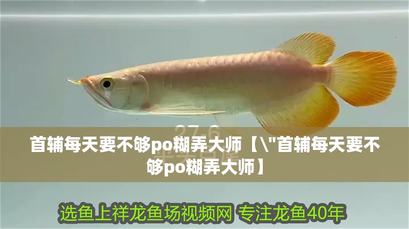 首輔每天要不夠po糊弄大師【\