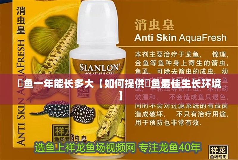 鳡魚一年能長多大【如何提供鳡魚最佳生長環(huán)境】