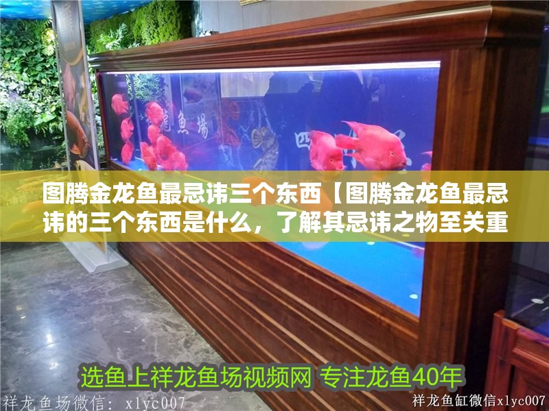 圖騰金龍魚最忌諱三個東西【圖騰金龍魚最忌諱的三個東西是什么，了解其忌諱之物至關重要】