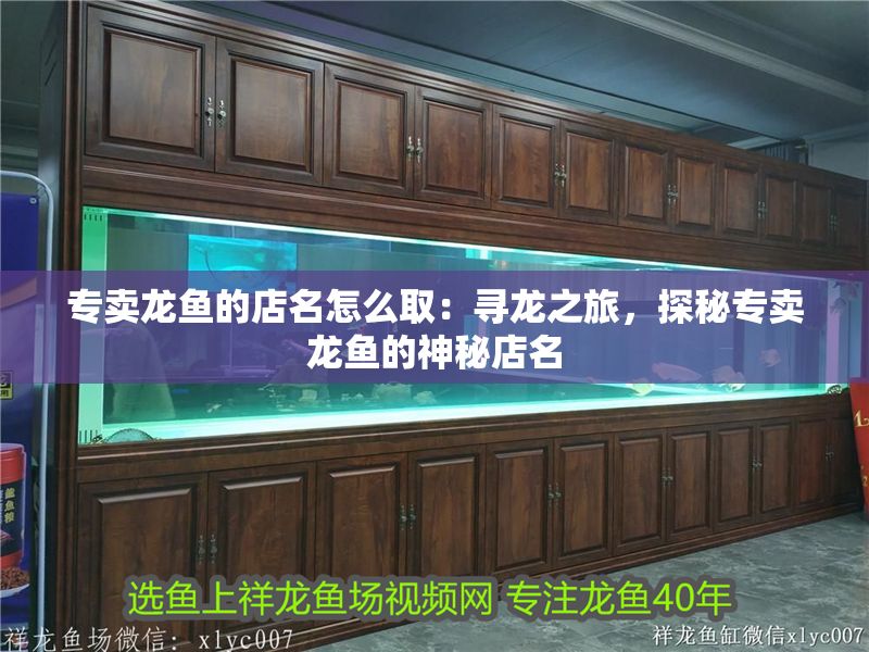 專賣龍魚的店名怎么取:尋龍之旅,探秘專賣龍魚的神秘店名 龍魚百科 第1張 專賣龍魚的店名怎么取:尋龍之旅,探秘專賣龍魚的神秘店名 專賣龍魚的店名怎么取:尋龍之旅,探秘專賣龍魚的神秘店名 龍魚百科 第1張