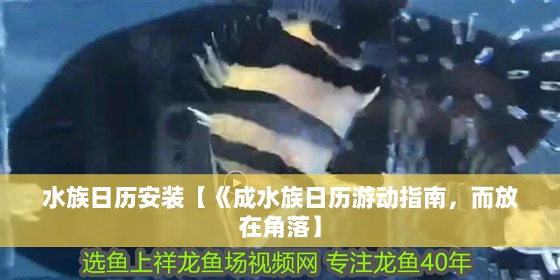 水族日歷安裝【《成水族日歷游動指南，而放在角落】
