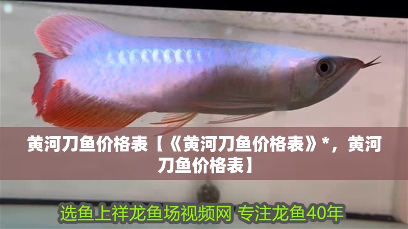 黃河刀魚價(jià)格表【《黃河刀魚價(jià)格表》*，黃河刀魚價(jià)格表】