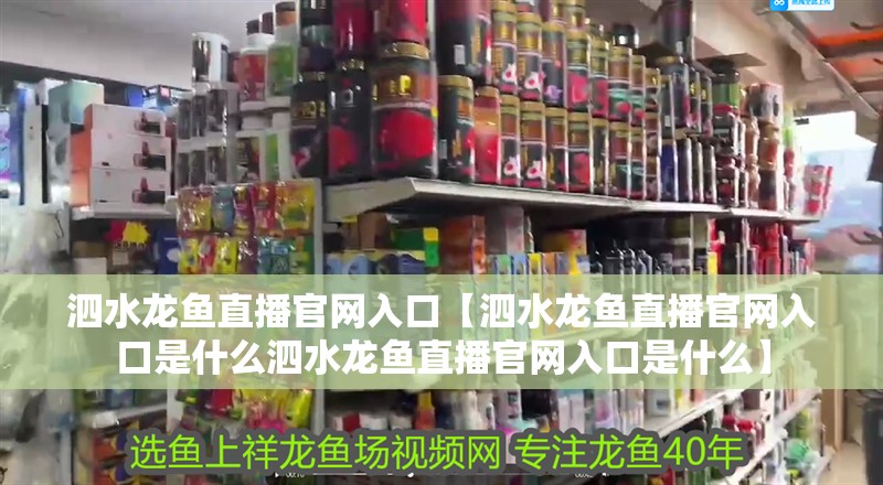 泗水龍魚直播官網入口【泗水龍魚直播官網入口是什么泗水龍魚直播官網入口是什么】 泗水龍魚直播官網入口【泗水龍魚直播官網入口是什么泗水龍魚直播官網入口是什么】 水族問答