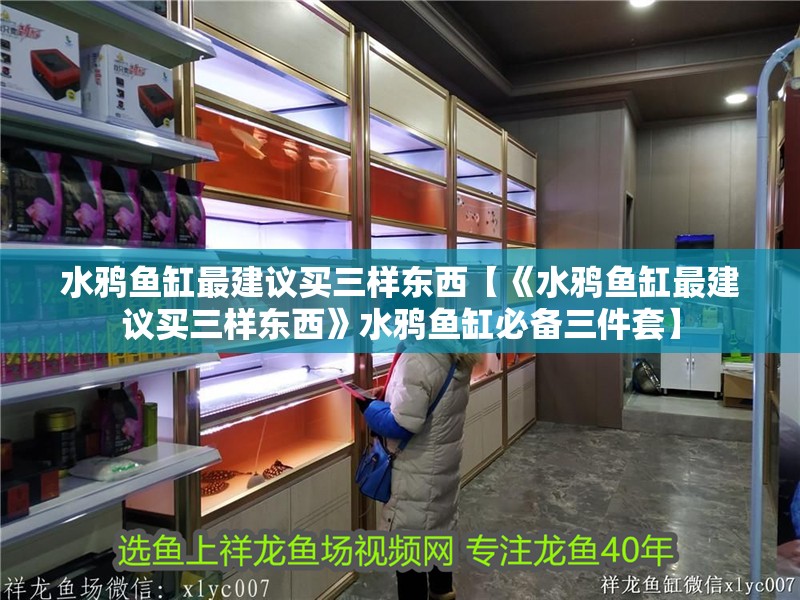 水鴉魚缸最建議買三樣?xùn)|西【《水鴉魚缸最建議買三樣?xùn)|西》水鴉魚缸必備三件套】