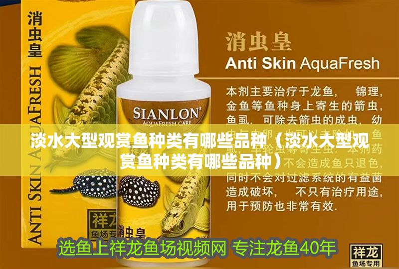 淡水大型觀賞魚種類有哪些品種（淡水大型觀賞魚種類有哪些品種）