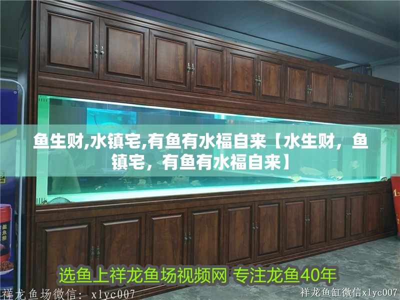 魚生財,水鎮宅,有魚有水福自來【水生財，魚鎮宅，有魚有水福自來】