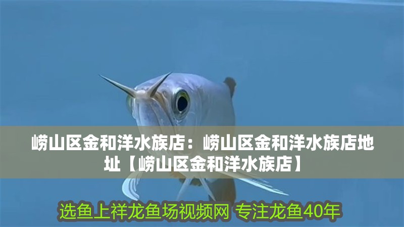 嶗山區金和洋水族店：嶗山區金和洋水族店地址【嶗山區金和洋水族店】
