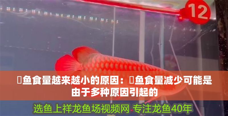魟魚食量越來越小的原因：魟魚食量減少可能是由于多種原因引起的