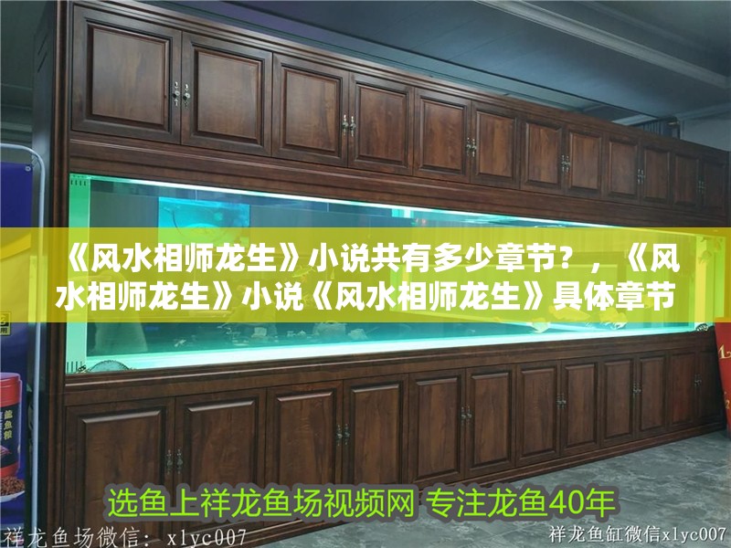 《風(fēng)水相師龍生》小說共有多少章節(jié)？，《風(fēng)水相師龍生》小說《風(fēng)水相師龍生》具體章節(jié)數(shù)量信息