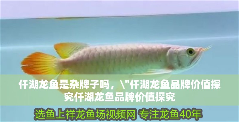 仟湖龍魚是雜牌子嗎，\