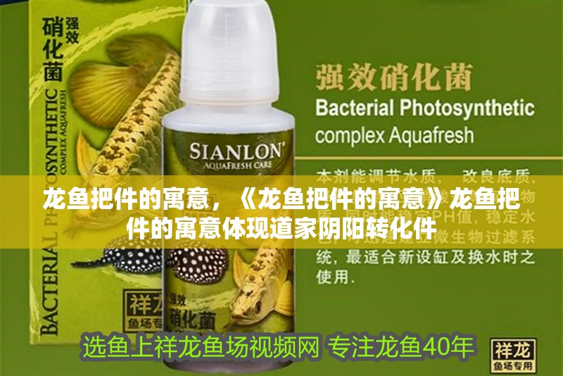 龍魚把件的寓意，《龍魚把件的寓意》龍魚把件的寓意體現(xiàn)道家陰陽轉化件