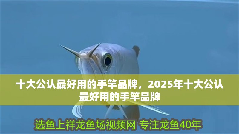 十大公認最好用的手竿品牌，2025年十大公認最好用的手竿品牌