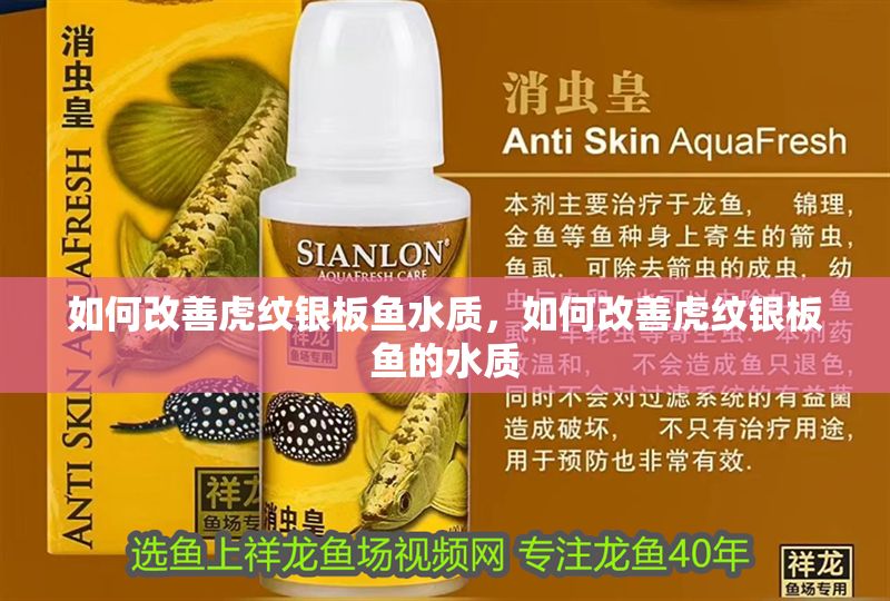 如何改善虎紋銀板魚水質(zhì)，如何改善虎紋銀板魚的水質(zhì)