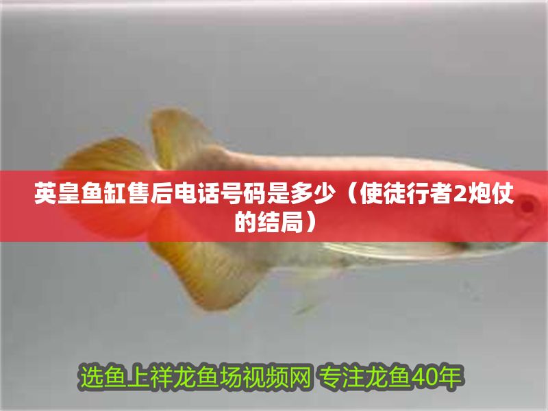 英皇魚缸售后電話號碼是多少（使徒行者2炮仗的結(jié)局）