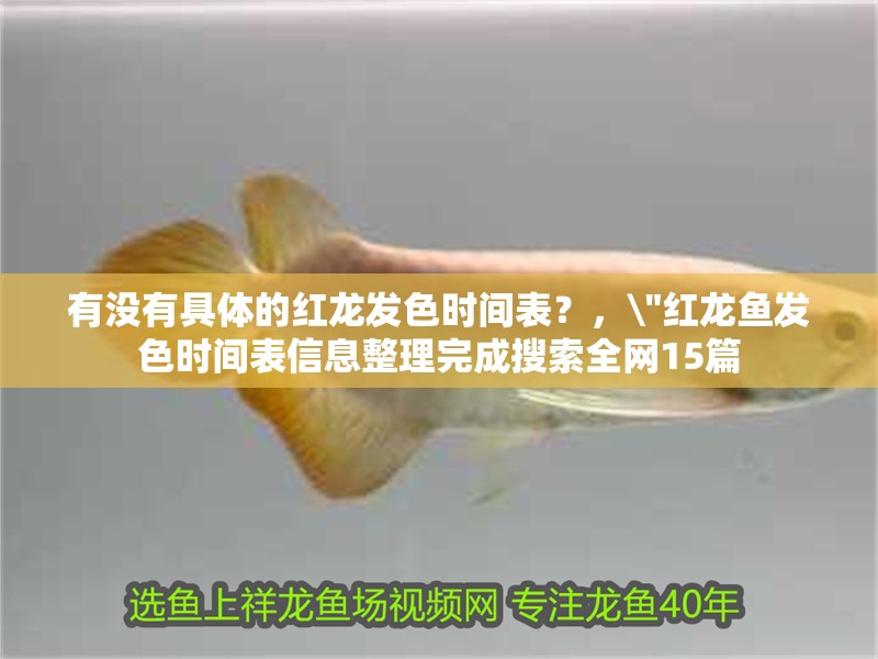 我的虎魚真菌感染了要怎么處理 有沒有具體的紅龍發色時間表?,\ 有沒有具體的紅龍發色時間表?, 有沒有具體的紅龍發色時間表?,\