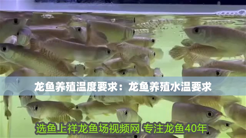 龍魚養殖溫度要求：龍魚養殖水溫要求