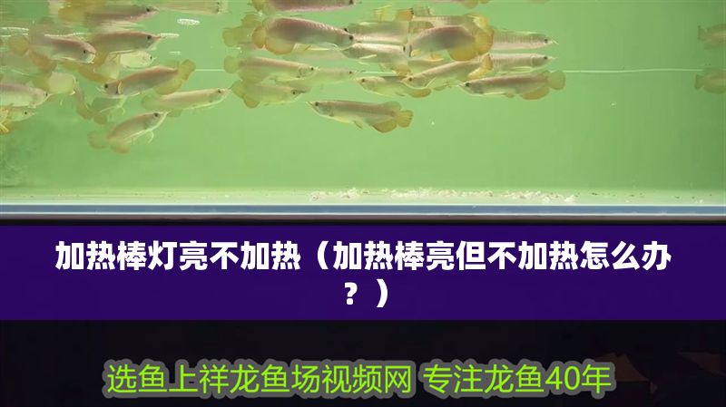 加熱棒燈亮不加熱（加熱棒亮但不加熱怎么辦？）
