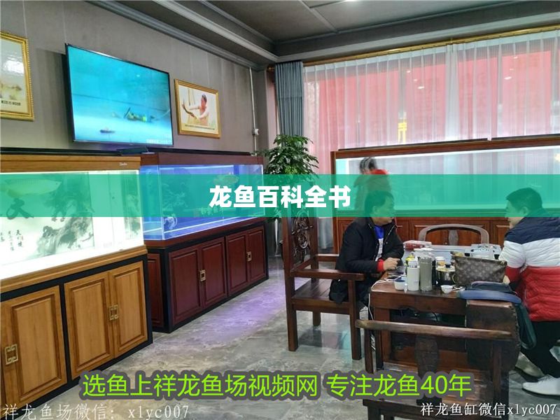 龍魚百科全書
