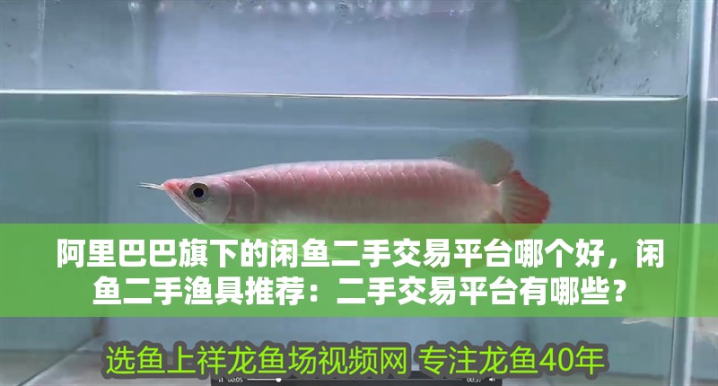 阿里巴巴旗下的閑魚二手交易平臺哪個好，閑魚二手漁具推薦：二手交易平臺有哪些？